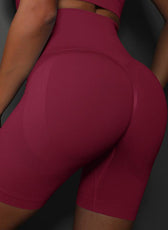 High Waist Breathable Shorts