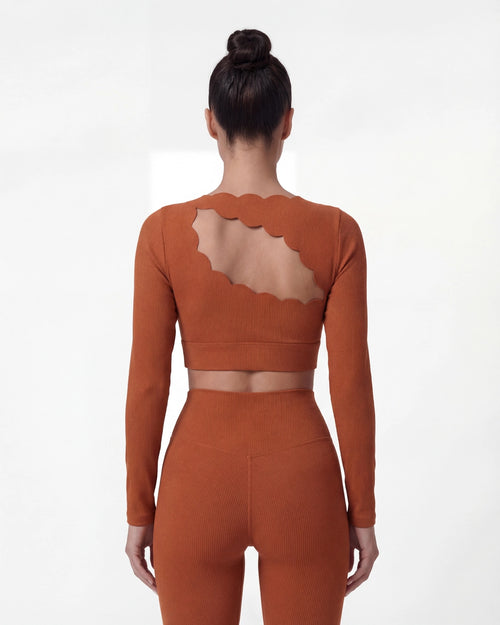 Hollow-Out Long Sleeve Crop Top